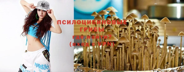 мяу мяу мука Волоколамск